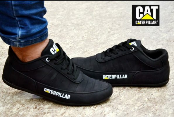 Caterpillar - Image 2