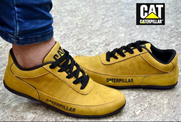 Caterpillar - Image 3