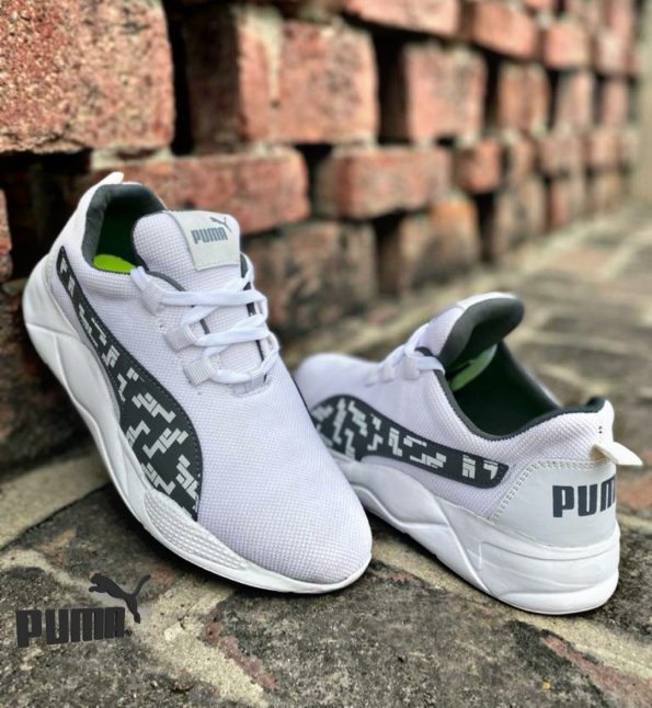 Puma - Image 4