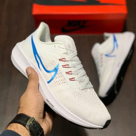 NIKE ZOOM PEGASUS 39