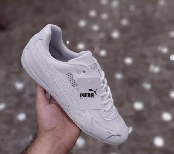 Puma