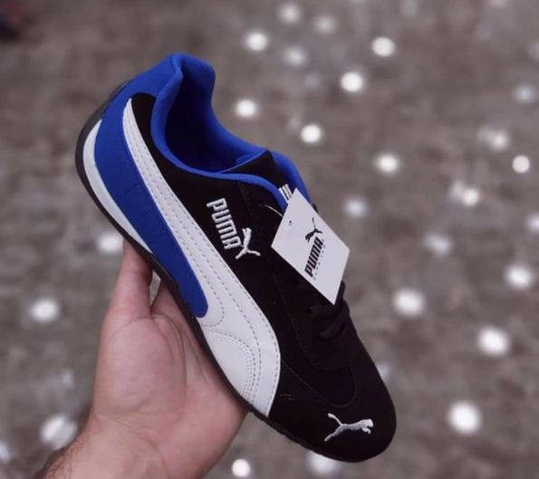 Puma - Image 2