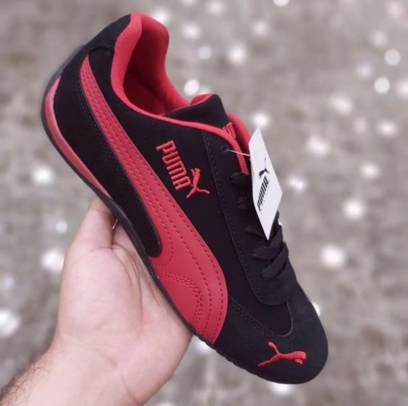 Puma - Image 4