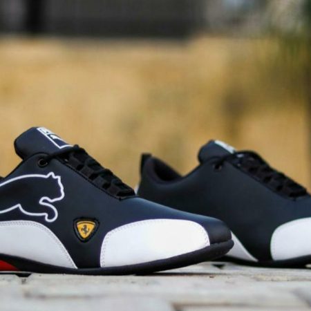 Puma
