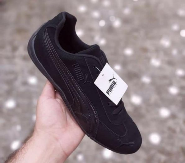 Puma - Image 5