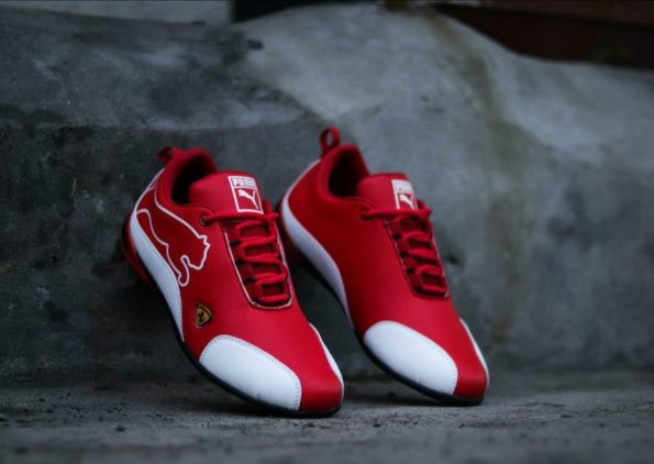 Puma - Image 2