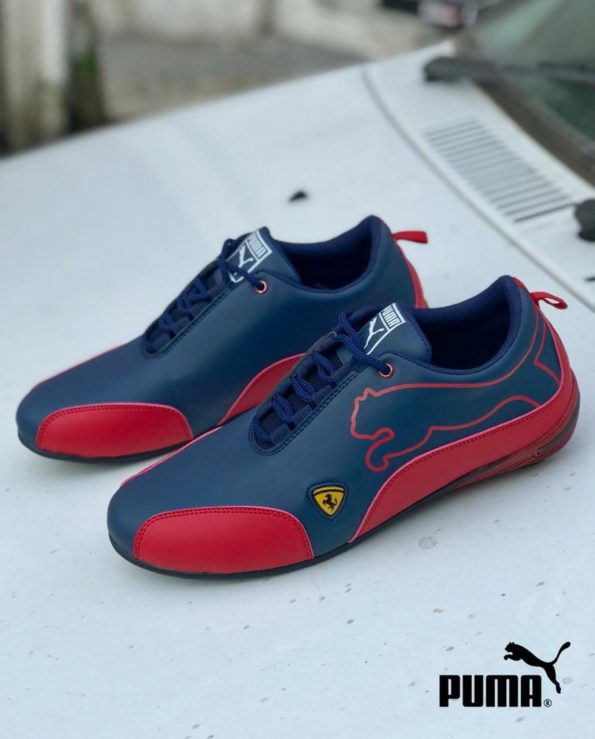 Puma - Image 3