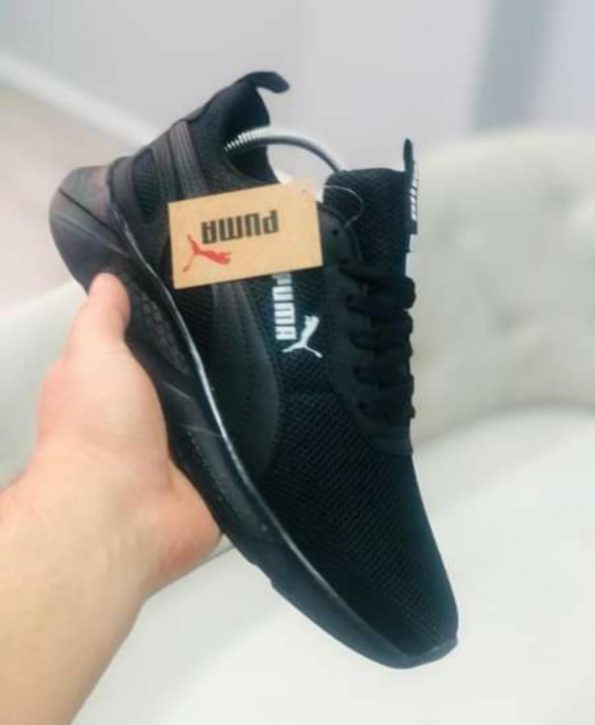 Puma