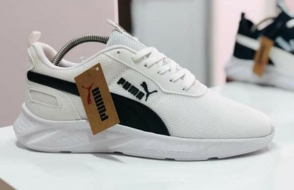 Puma - Image 2