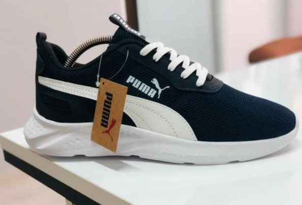 Puma - Image 3