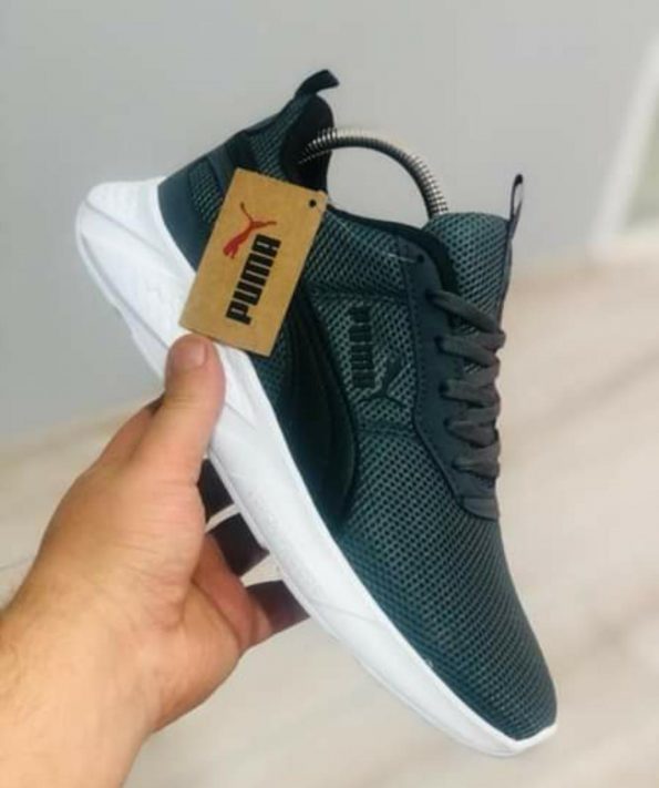 Puma - Image 4