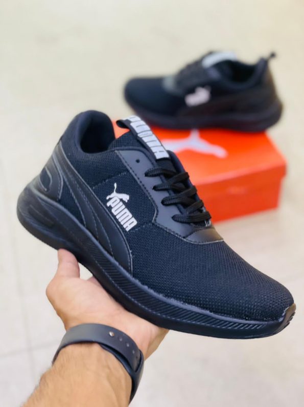 Puma - Image 3