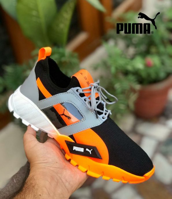 Puma - Image 2