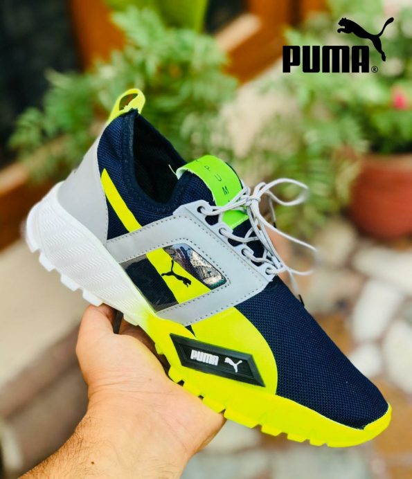 Puma - Image 3
