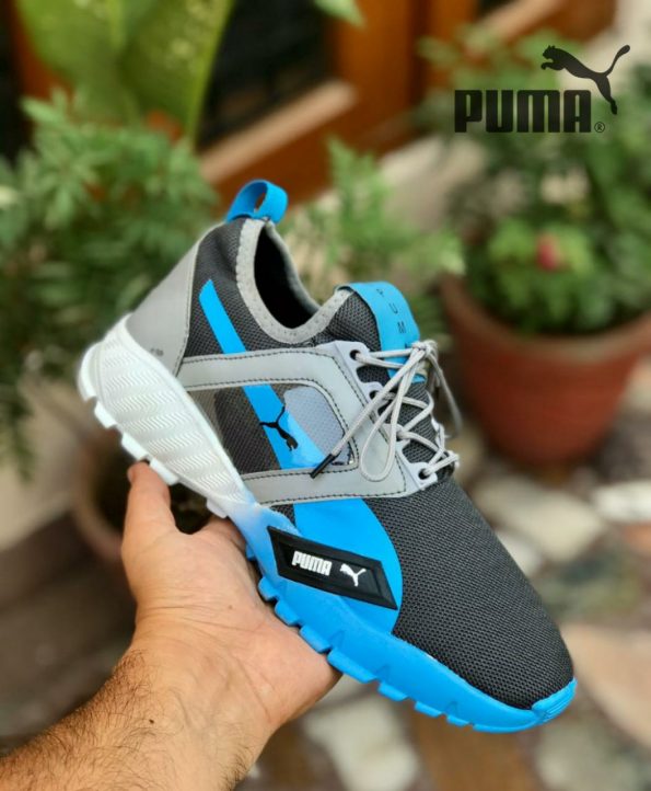 Puma - Image 4