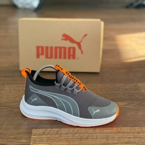 Puma - Image 2