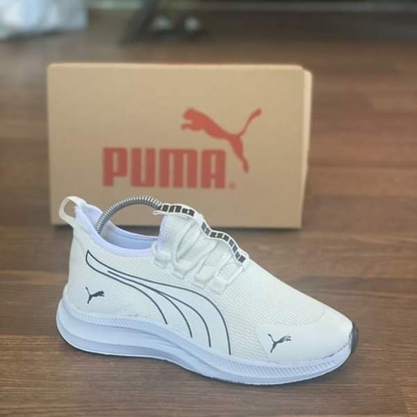 Puma - Image 3