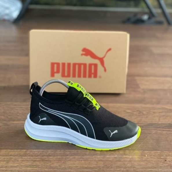 Puma - Image 5