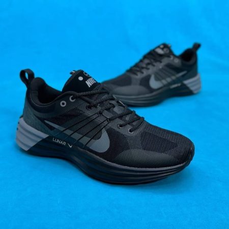 Lunar roam