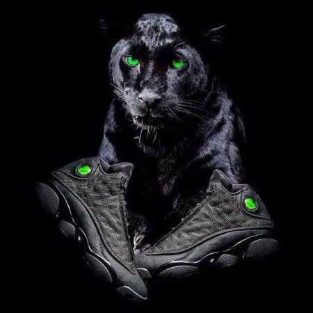 Air Jordan 13 Black Cat